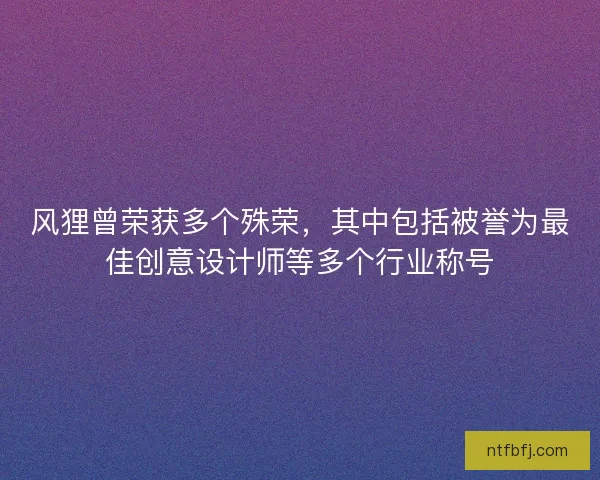 风狸曾荣获多个殊荣，其中包括被誉为最佳创意设计师等多个行业称号