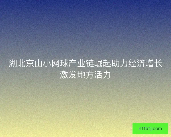 湖北京山小网球产业链崛起助力经济增长激发地方活力 湖北京山小网球产业链崛起助力经济增长激发地方活力